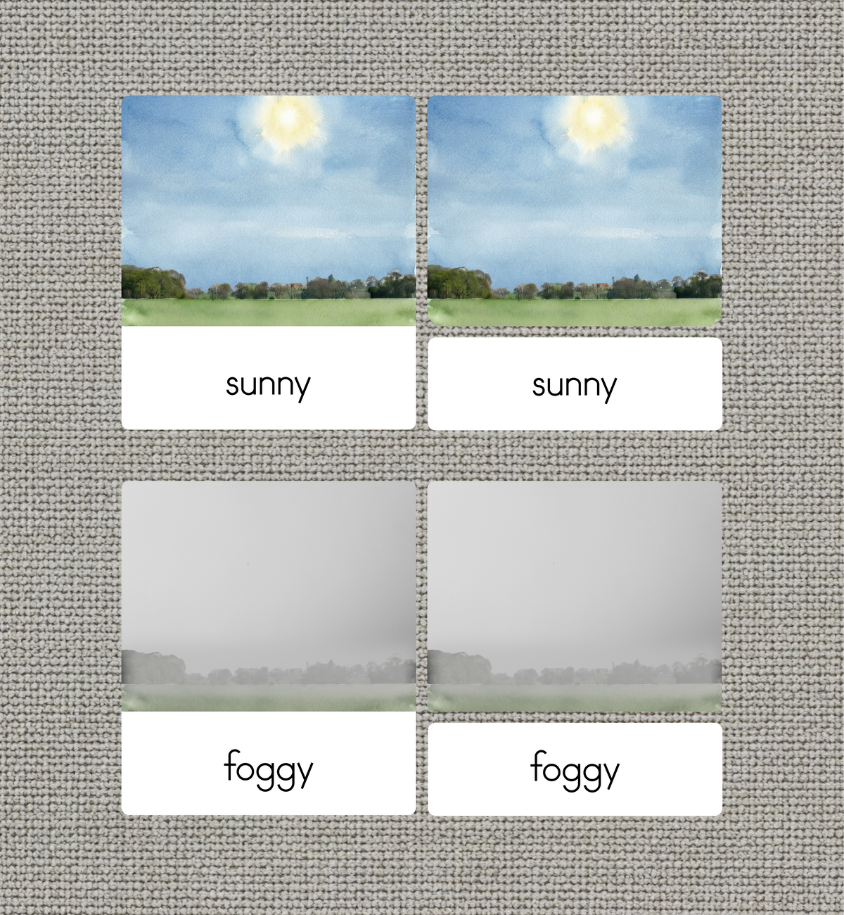Weather Nomenclature Cards + Matching Activity